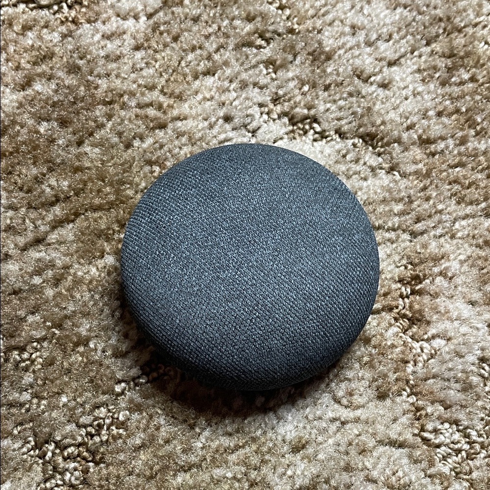 Google Nest Charcoal Home Device
